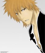 Bleach-418-ichigo-is-serious