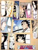 bleach-captains.png