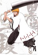 captain-ichigo-kurosaki.jpg