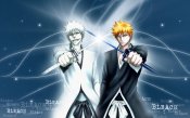 ichigo-and-hichigo.jpg